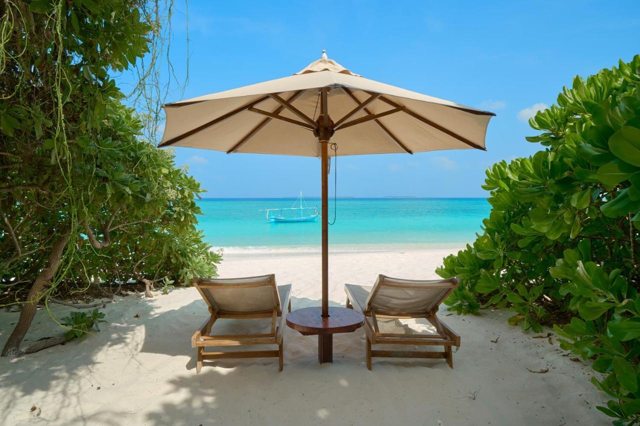 ザ ベアフット エコ ホテル Hanimaadhoo Island エクステリア 写真