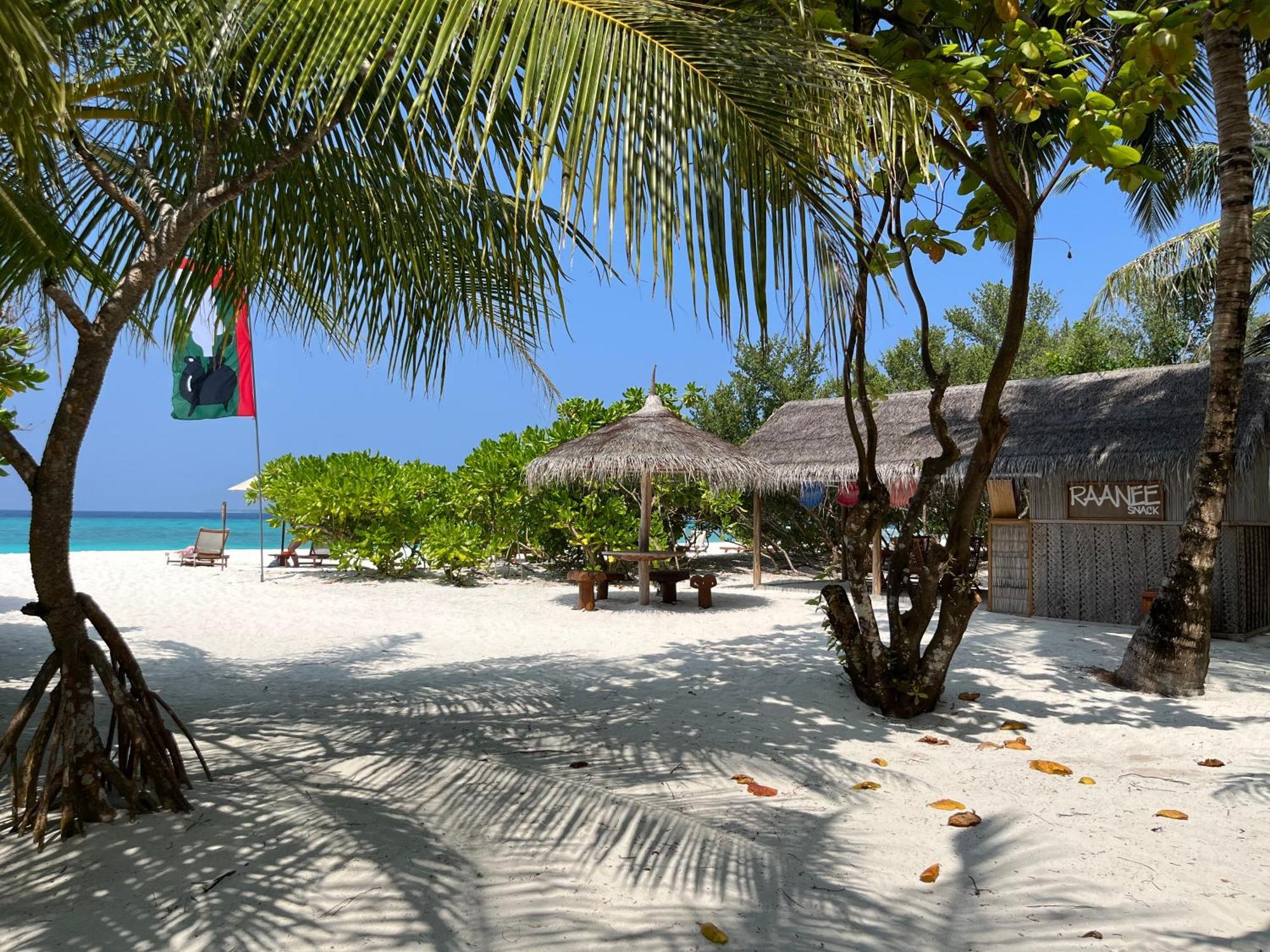 ザ ベアフット エコ ホテル Hanimaadhoo Island エクステリア 写真