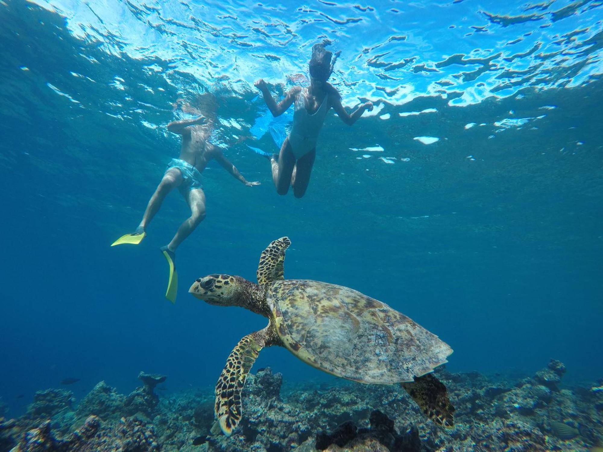 ザ ベアフット エコ ホテル Hanimaadhoo Island エクステリア 写真