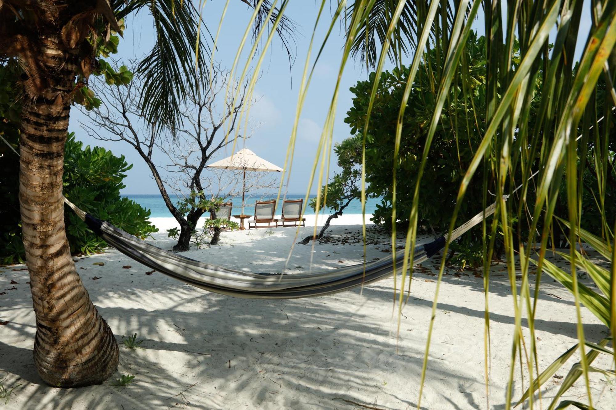 ザ ベアフット エコ ホテル Hanimaadhoo Island エクステリア 写真