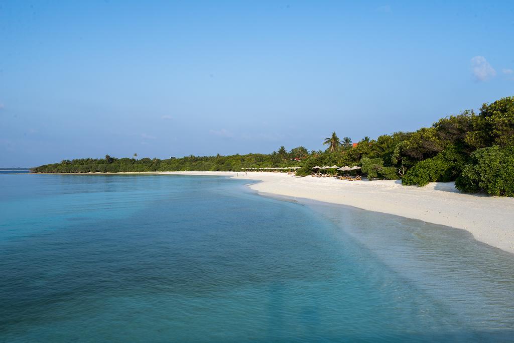 ザ ベアフット エコ ホテル Hanimaadhoo Island エクステリア 写真